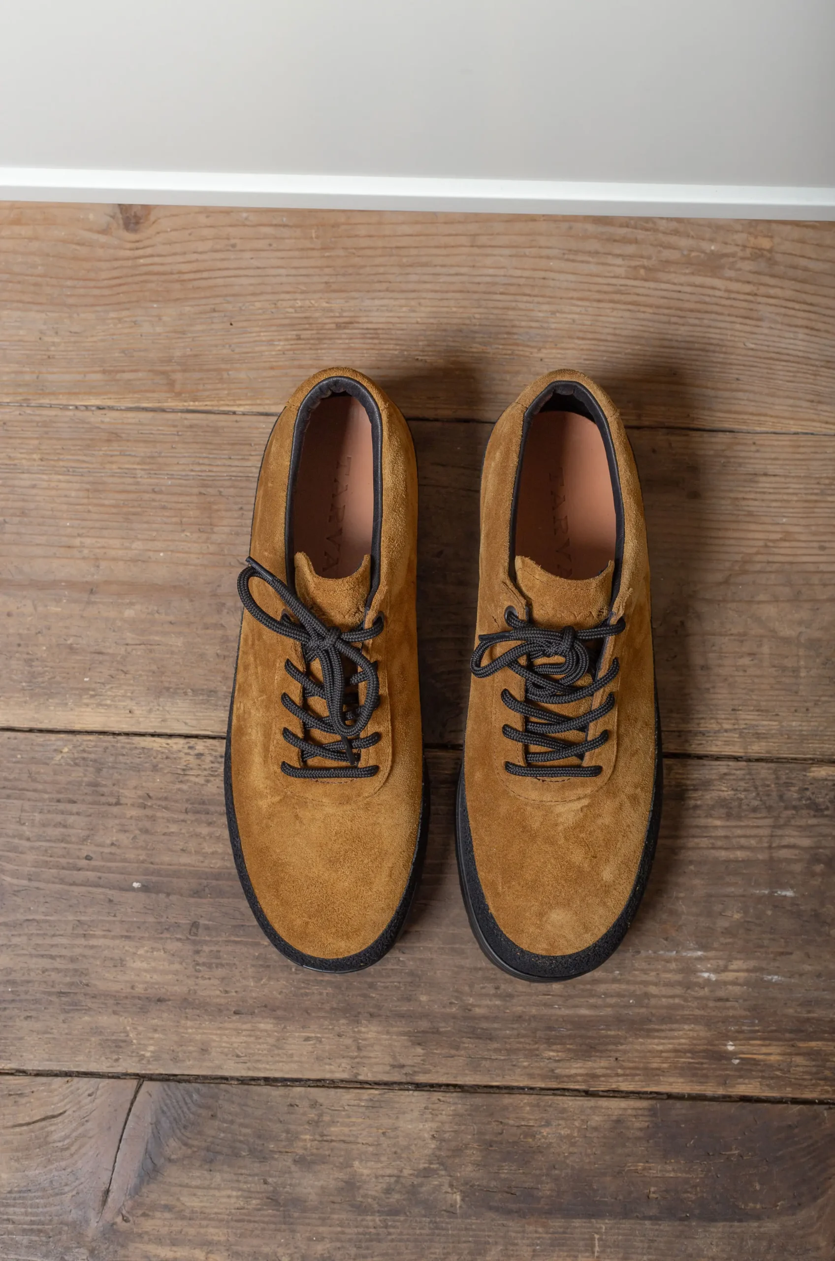 Tarvas - Explorer - Ochre